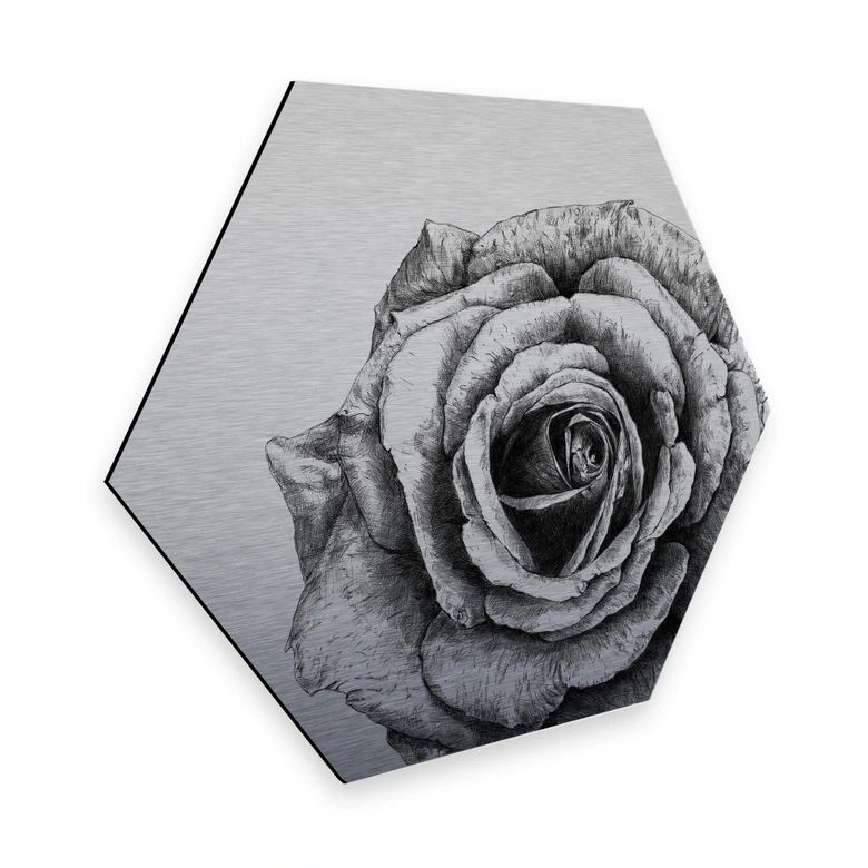 Hexagon - Alu-Dibond Silbereffekt Kools - Rose 