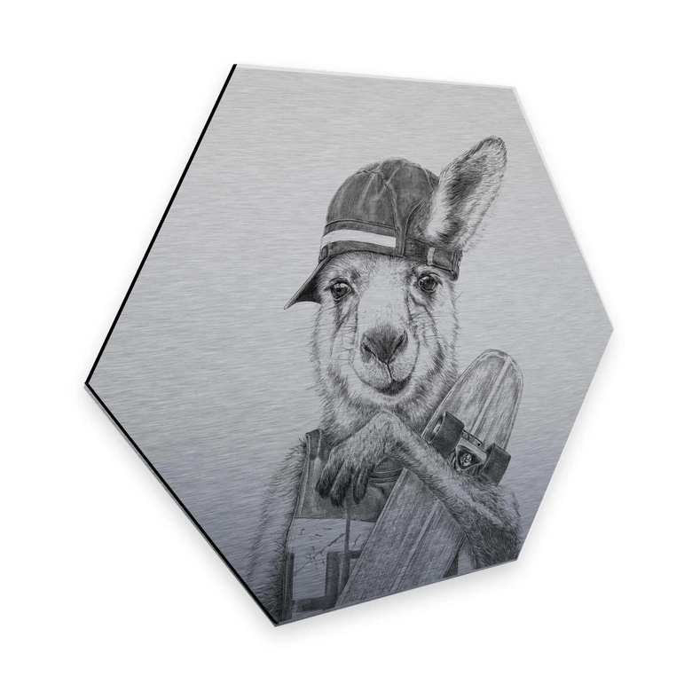 Hexagon - Alu-Dibond Silbereffekt Kools - Skateroo 