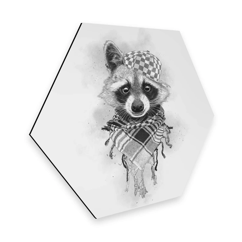 Hexagon - Alu-Dibond Kools - Rocco Raccoon 