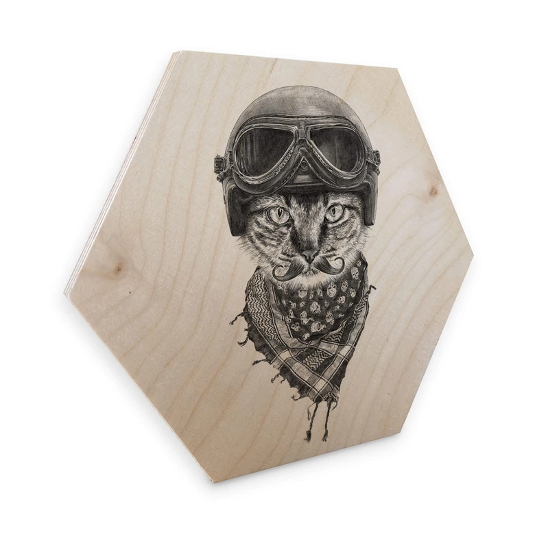 Hexagon - Holz Birke-Furnier Kools - Biker Cat 