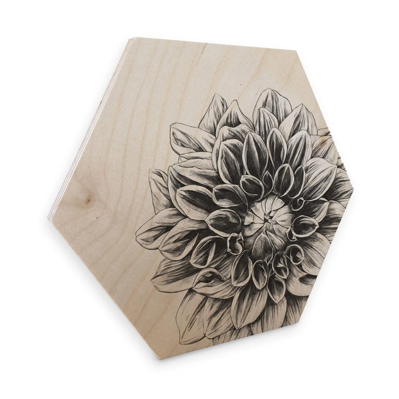 Hexagon - Holz Birke-Furnier Kools - Dahlia 