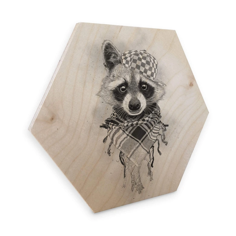 Hexagon - Holz Birke-Furnier Kools - Rocco Raccoon 