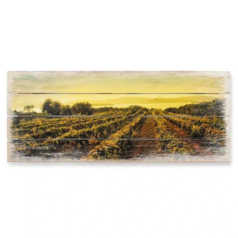 Holzbild Weinreben im Sonnenuntergang - Panorama 