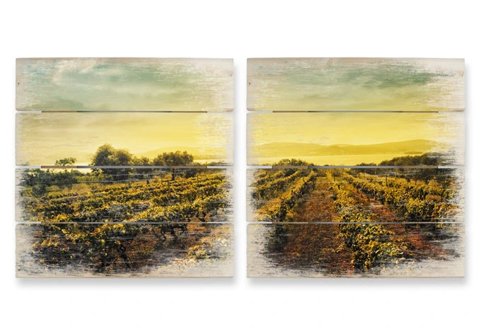 Holzbild-Set Weinreben im Sonnenuntergang (2-teilig) 