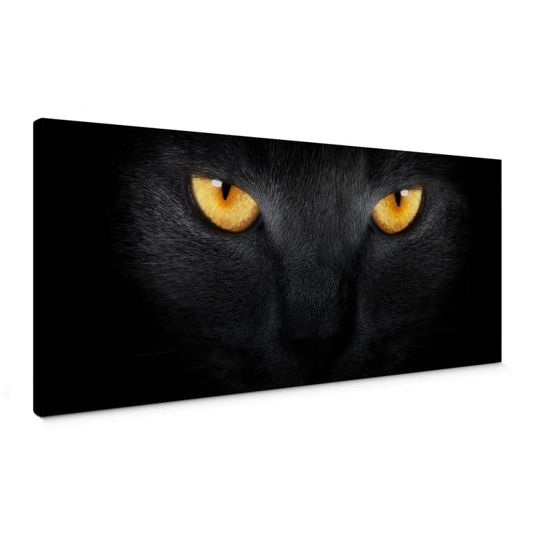 Leinwandbild Katzenaugen 