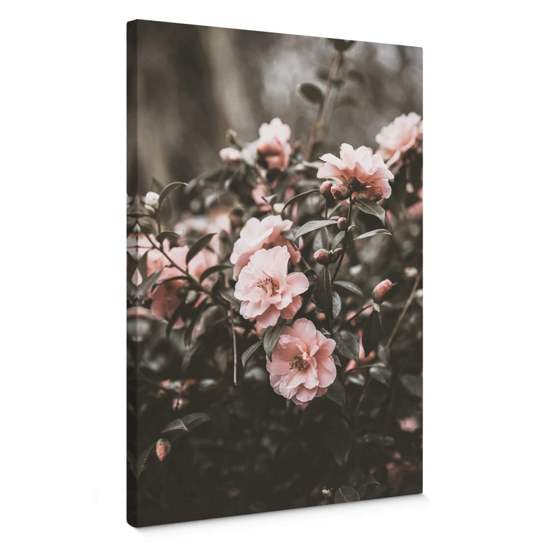 Tableau sur toile Annie - Rosier 