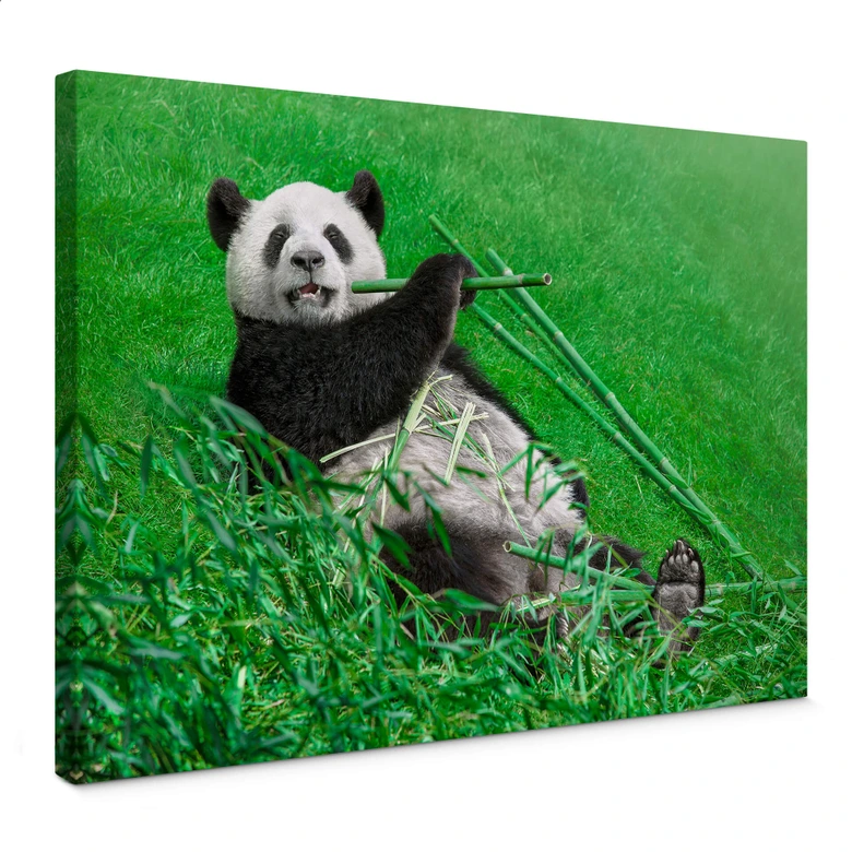 Leinwandbild Ben Heine - Glücklicher Panda 