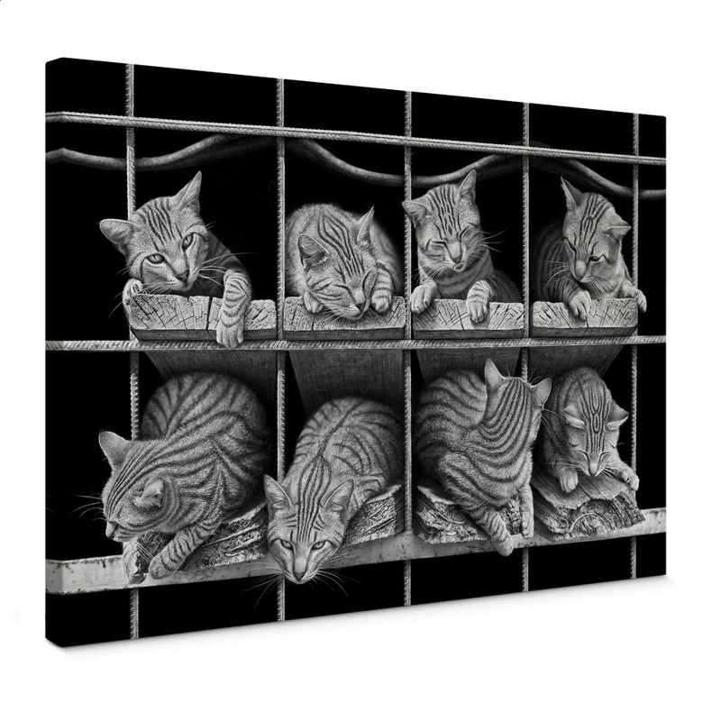Canvas Heine - Cute Kitties 