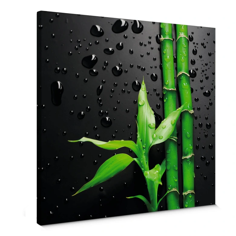Leinwandbild Bamboo Over Black - quadratisch | wall-art.de