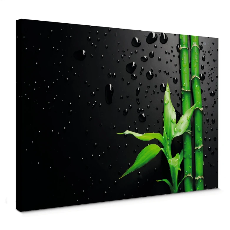 Bamboo Over Black Canvastavla 