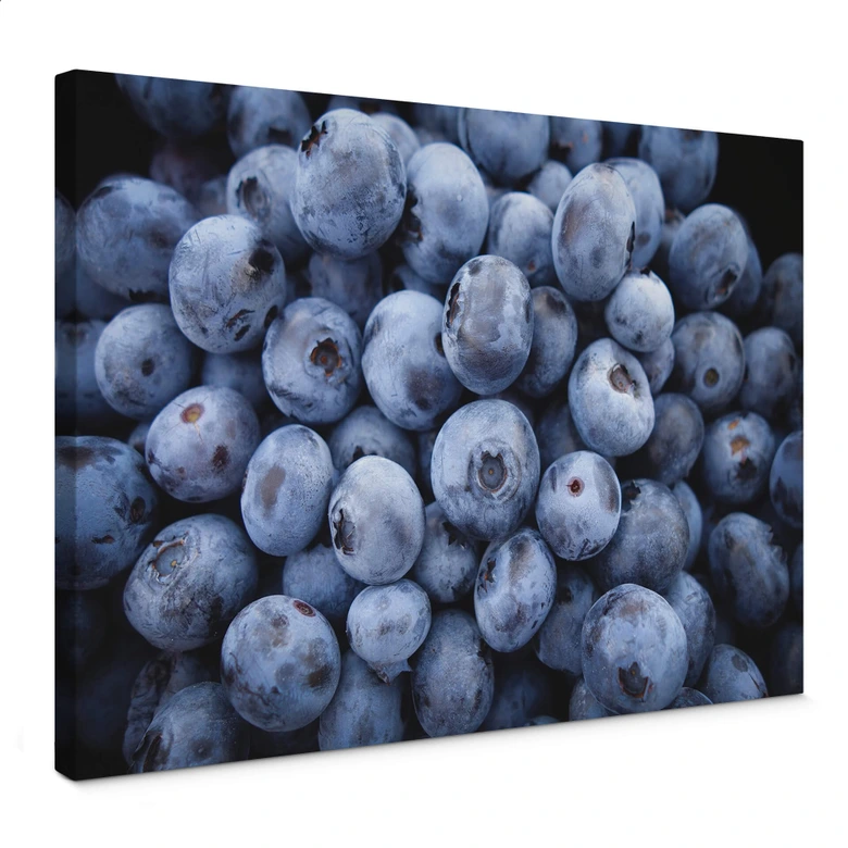 Leinwandbild Blaubeeren 