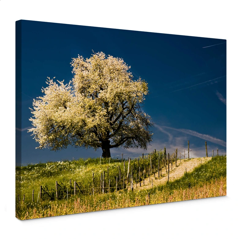 Lienzo Florece en abril 