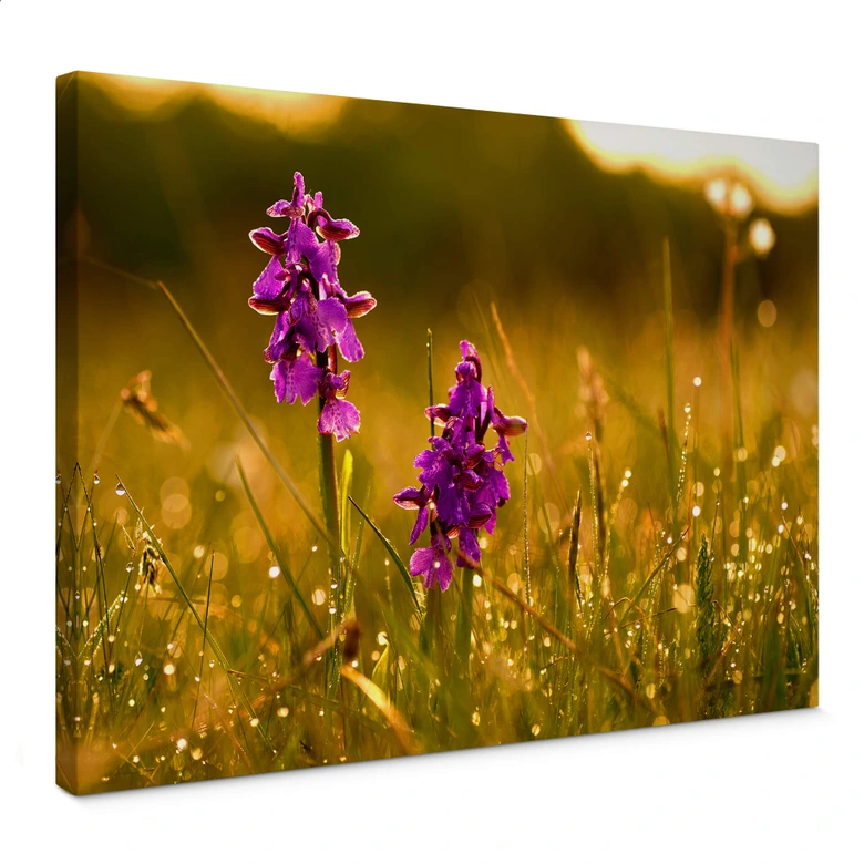 Flowers in the Morning Dew Canvas print 