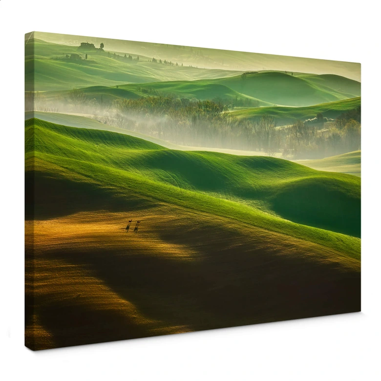 Canvas Browko - Green Meadow 