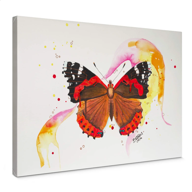 Leinwandbild Buttafly - Vanessa Athalanta 
