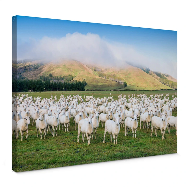 Lienzo Colombo - El rebaño de ovejas 