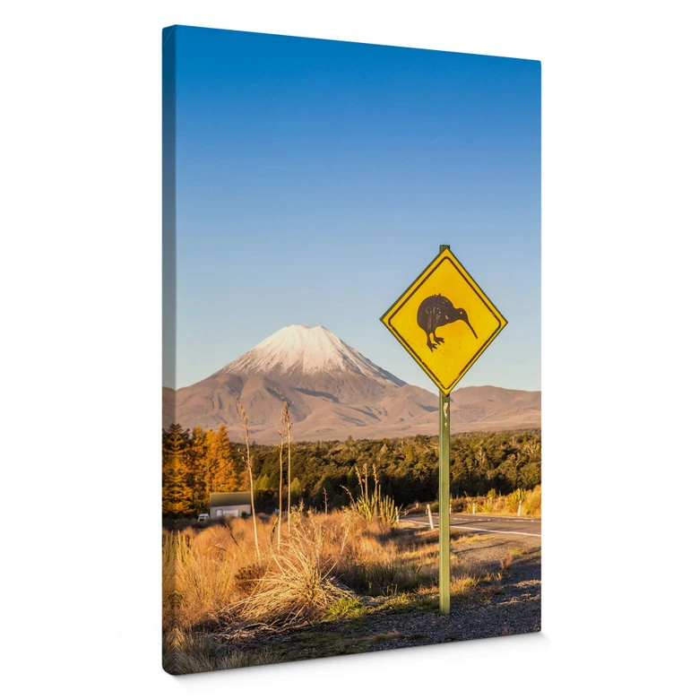 Leinwandbild Colombo - Straßenschild: Achtung Kiwi 