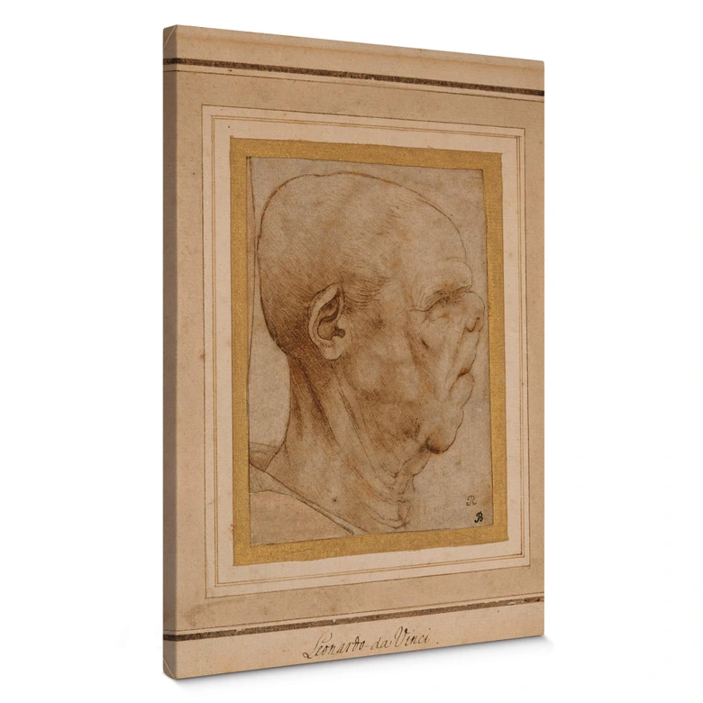 da Vinci - Caricature of the Head of an Old Man Canvas print 