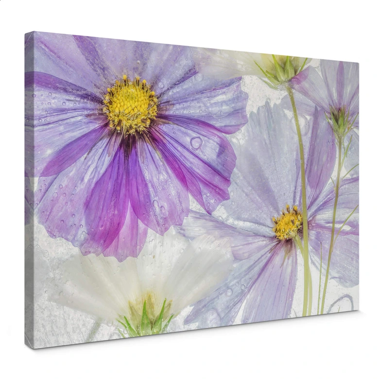 Leinwandbild Disher - Frozen Flowers 