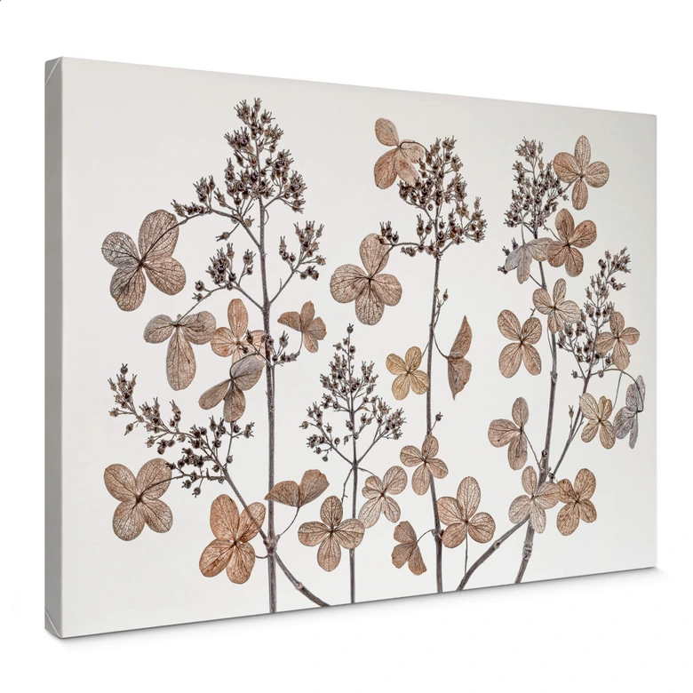 Leinwandbild Disher - Getrocknete Blumen 