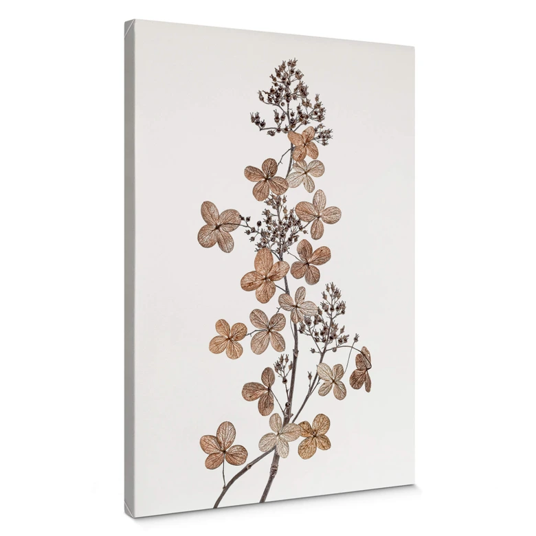 Canvastavla Disher - Hortensia 