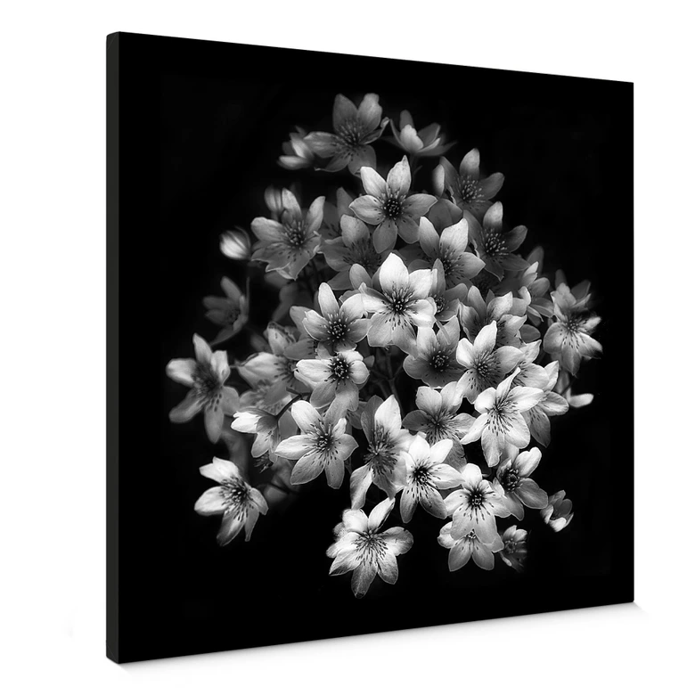 Canvas Depaepe - Early Sensation 
