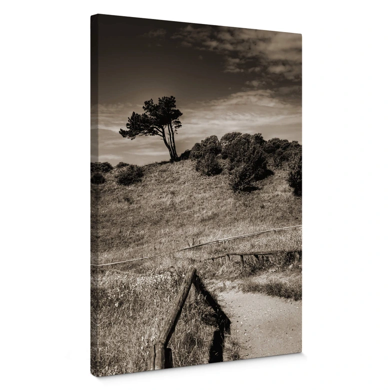Leinwandbild Landschaft auf Hiddensee 