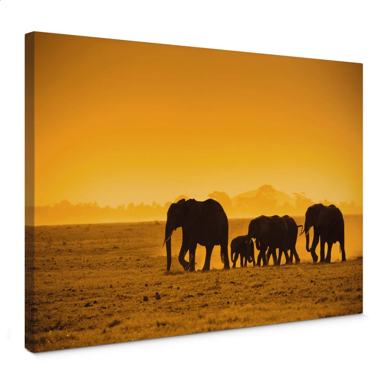 Elephants Silhouette Canvas print 