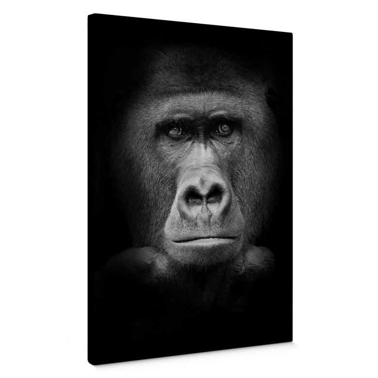 Leinwandbild Gorilla 