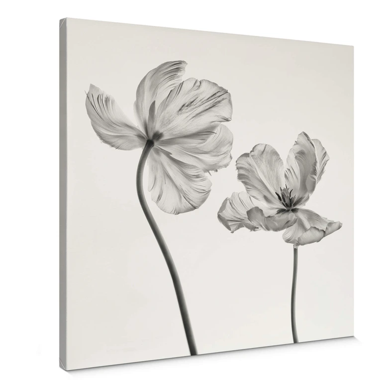 Leinwandbild Grønkjær - Tulpenblüte 