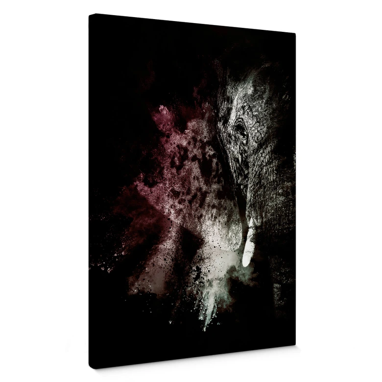 Leinwandbild Hugonnard - Wild Explosion: Elefant 02 