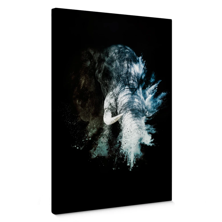 Leinwandbild Hugonnard – Wild Explosion: Elefant 