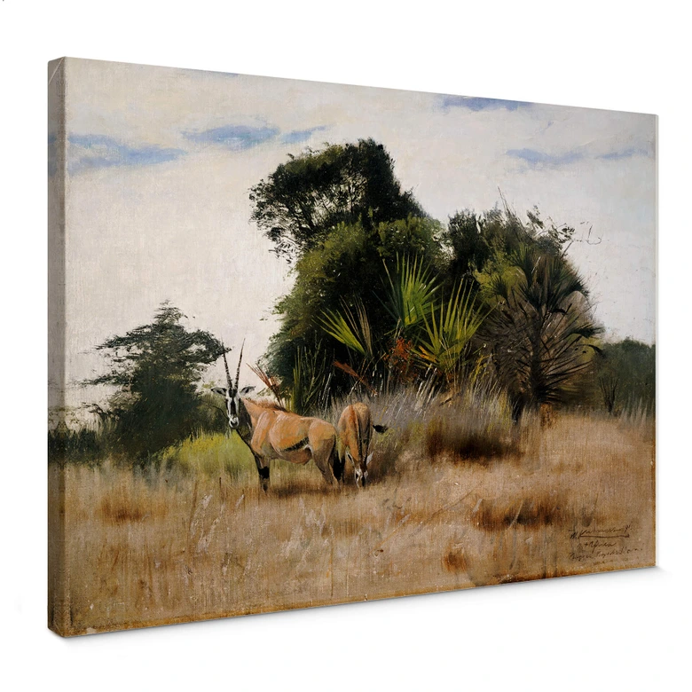 Canvastavla Kuhnert - Antiloper 