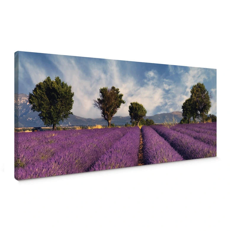 Canvas Lavendel Panorama 
