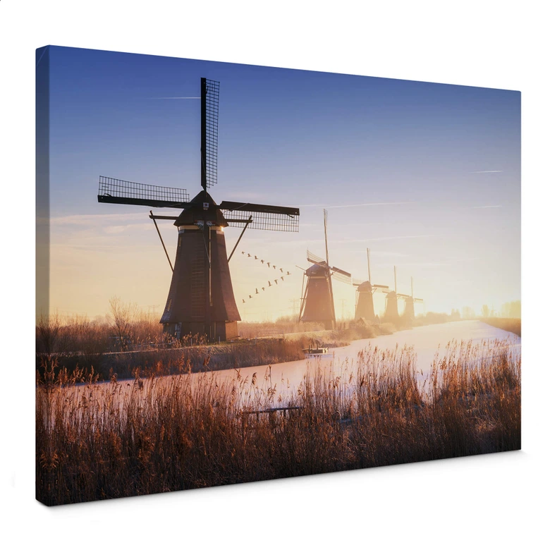 Canvas Pablo - Kinderdijk 4 