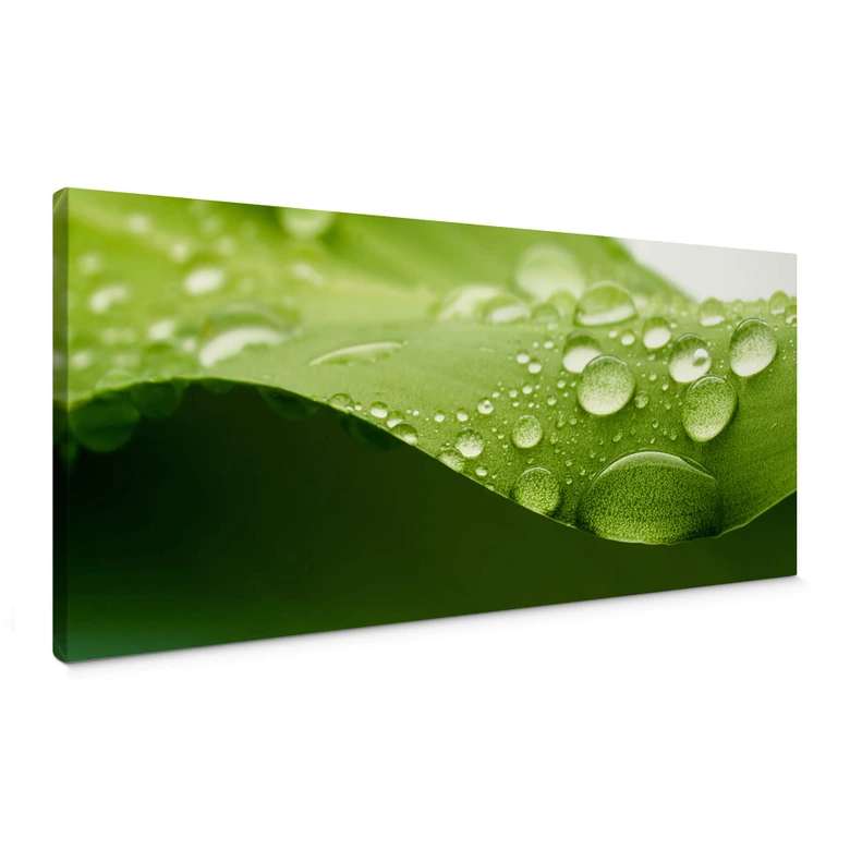 Obraz na płótnie natura 3 