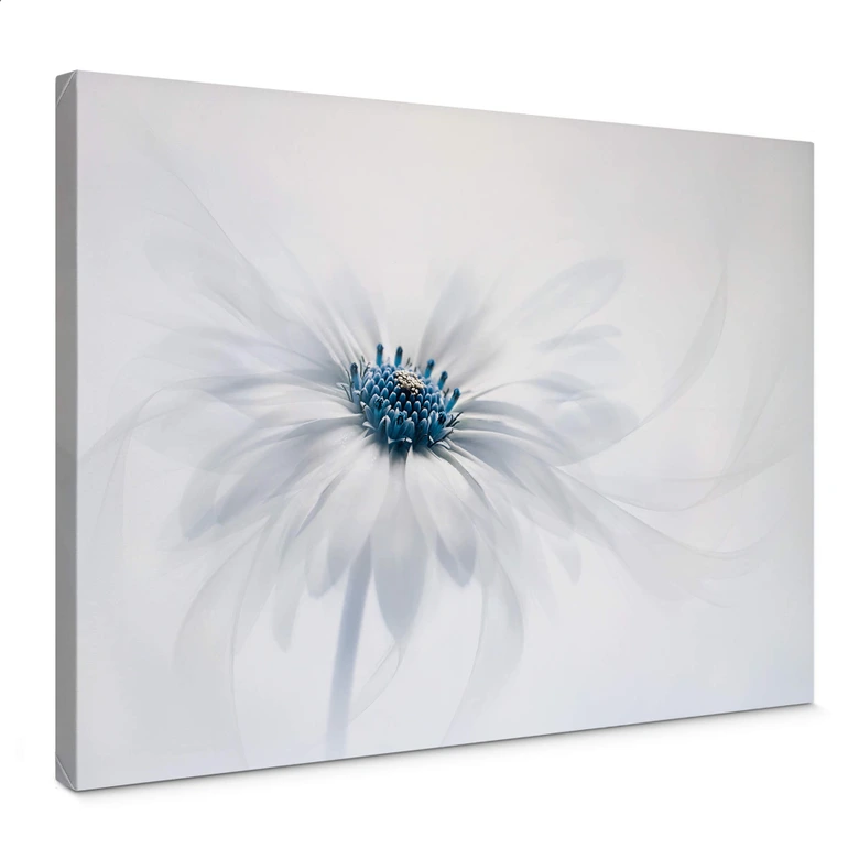 Leinwandbild Parker - Frozen Flower 
