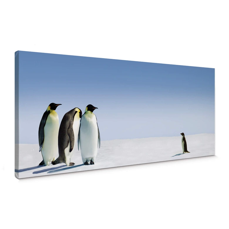 Leinwandbild Penguin - Panorama 