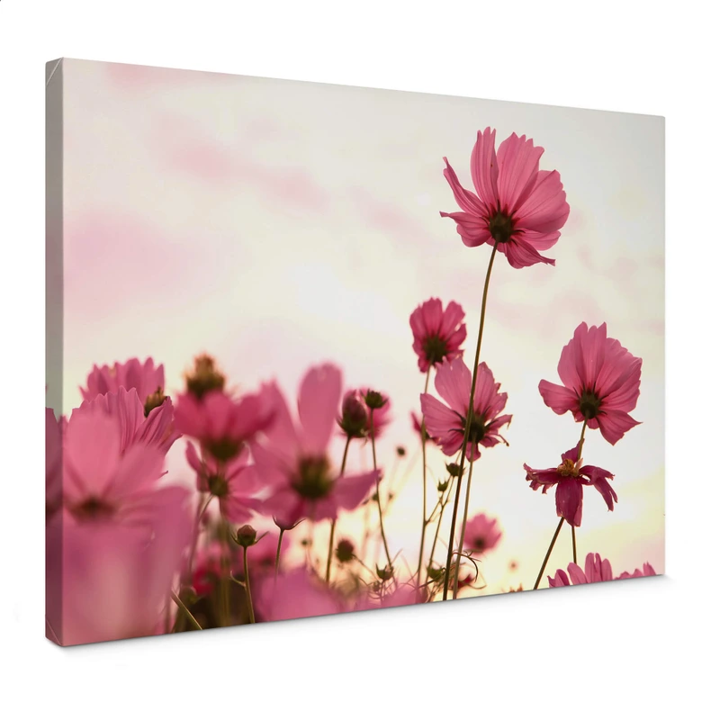 Canvas Roze Bloemen 