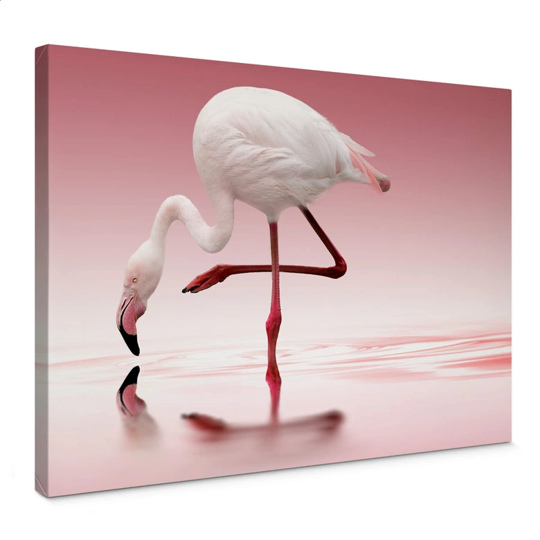 Reindl dukbild - Rosa flamingo 