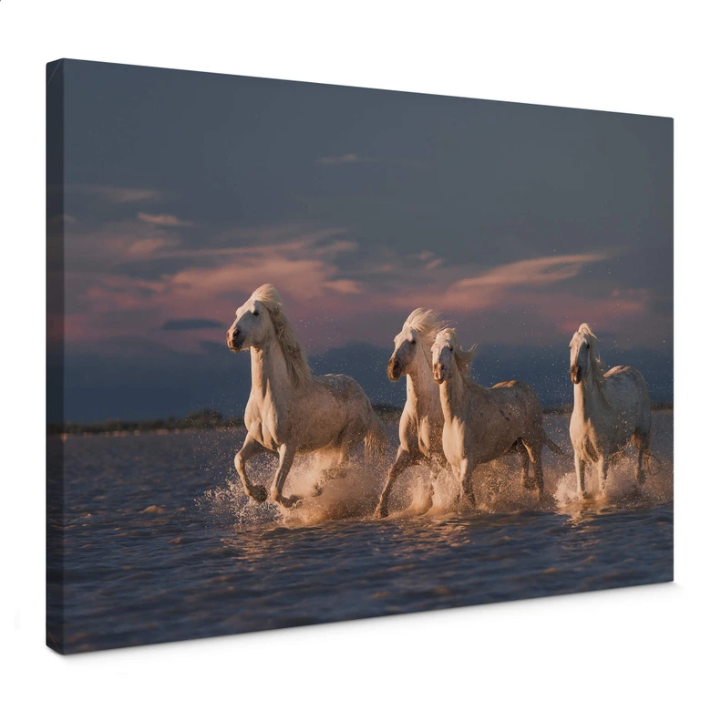 Leinwandbild Rostovskiy - Angels of Camargue 