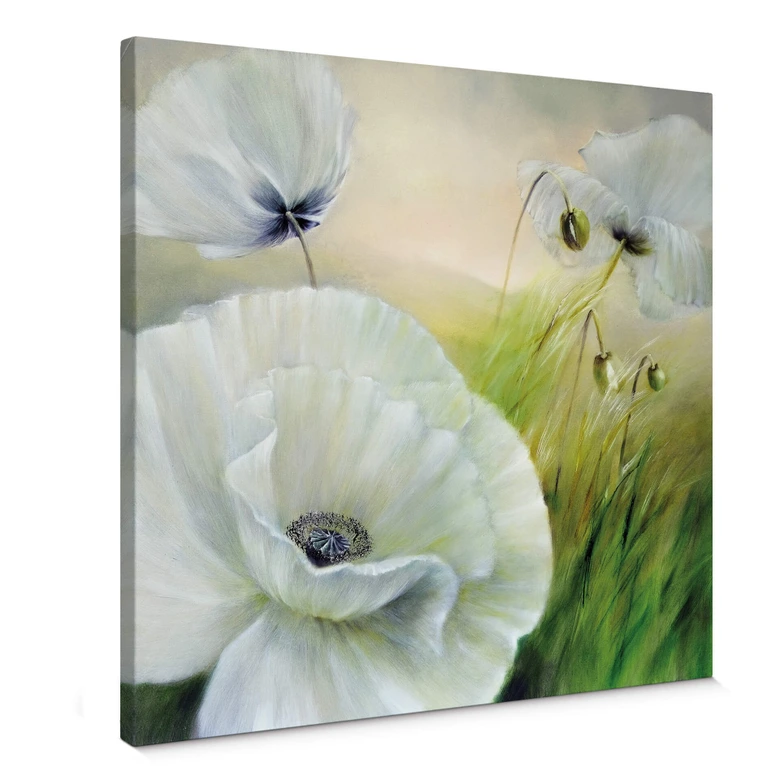Leinwandbild Schmucker - Weißer Mohn 