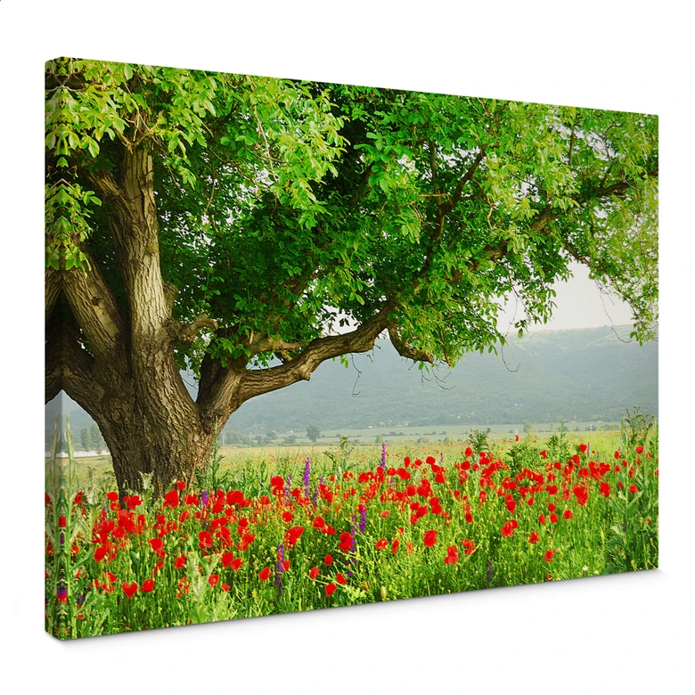 Summer Awakening Canvas print 