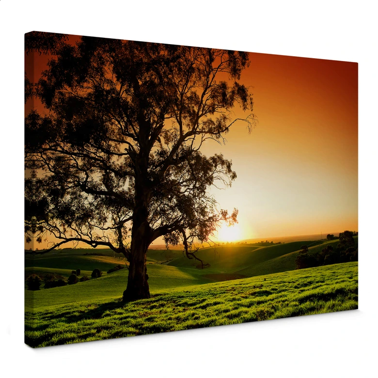 Leinwandbild Sonnenuntergang über den Hügeln 