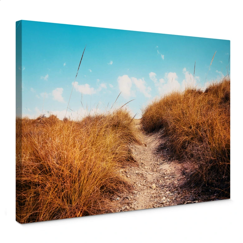 Leinwandbild Strandaufgang 