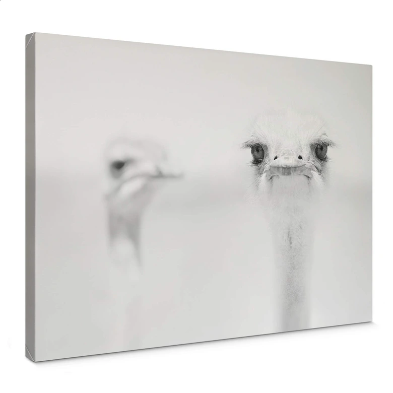 Leinwandbild Tonti - Augenblick 