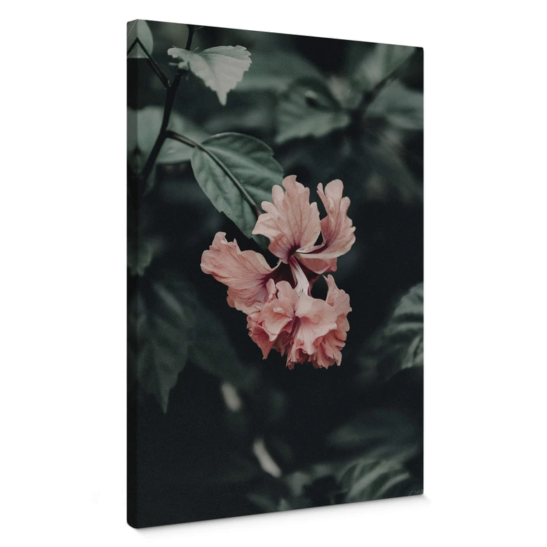 Leinwandbild Tropische Blüte 