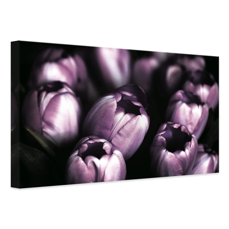 Leinwandbild Tulips 