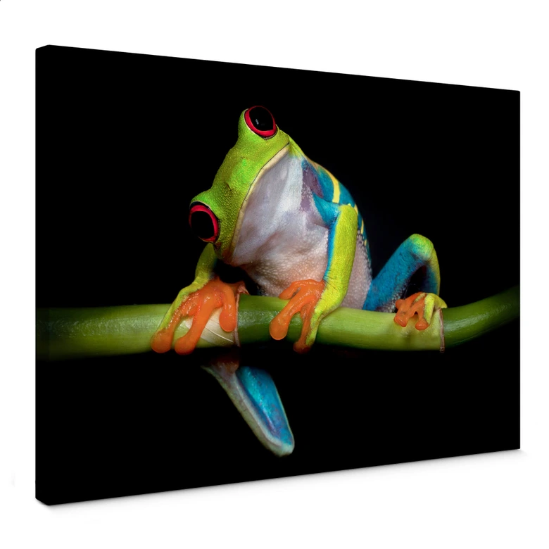 Canvas Valverde – Green Frog 