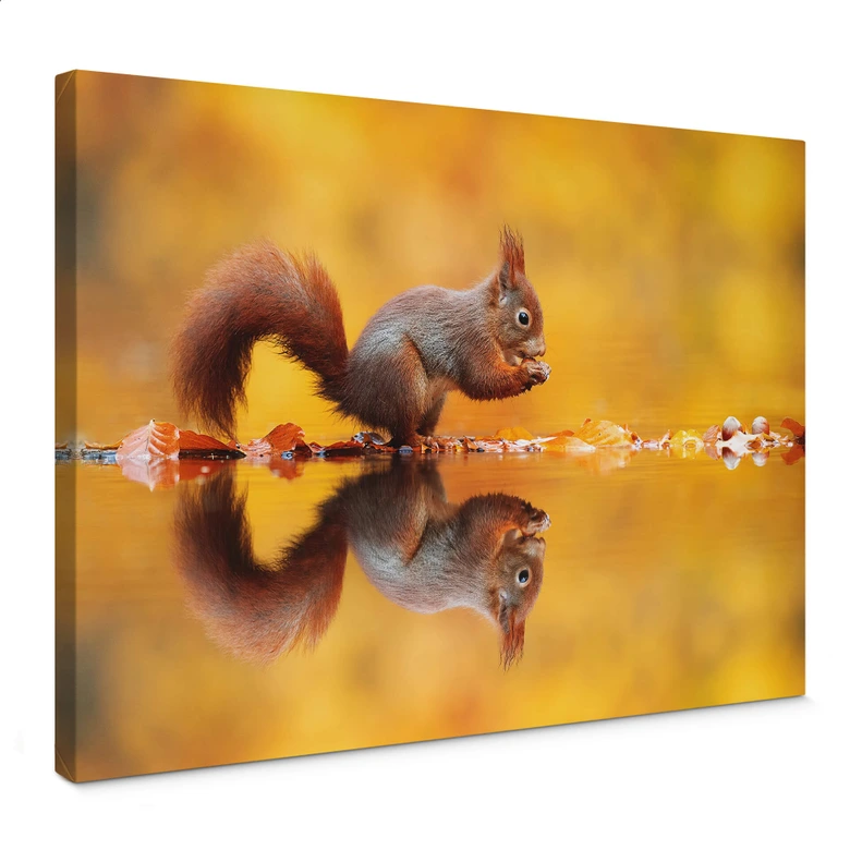 Leinwandbild van Duijn - Eichhörnchen mit Nuss 